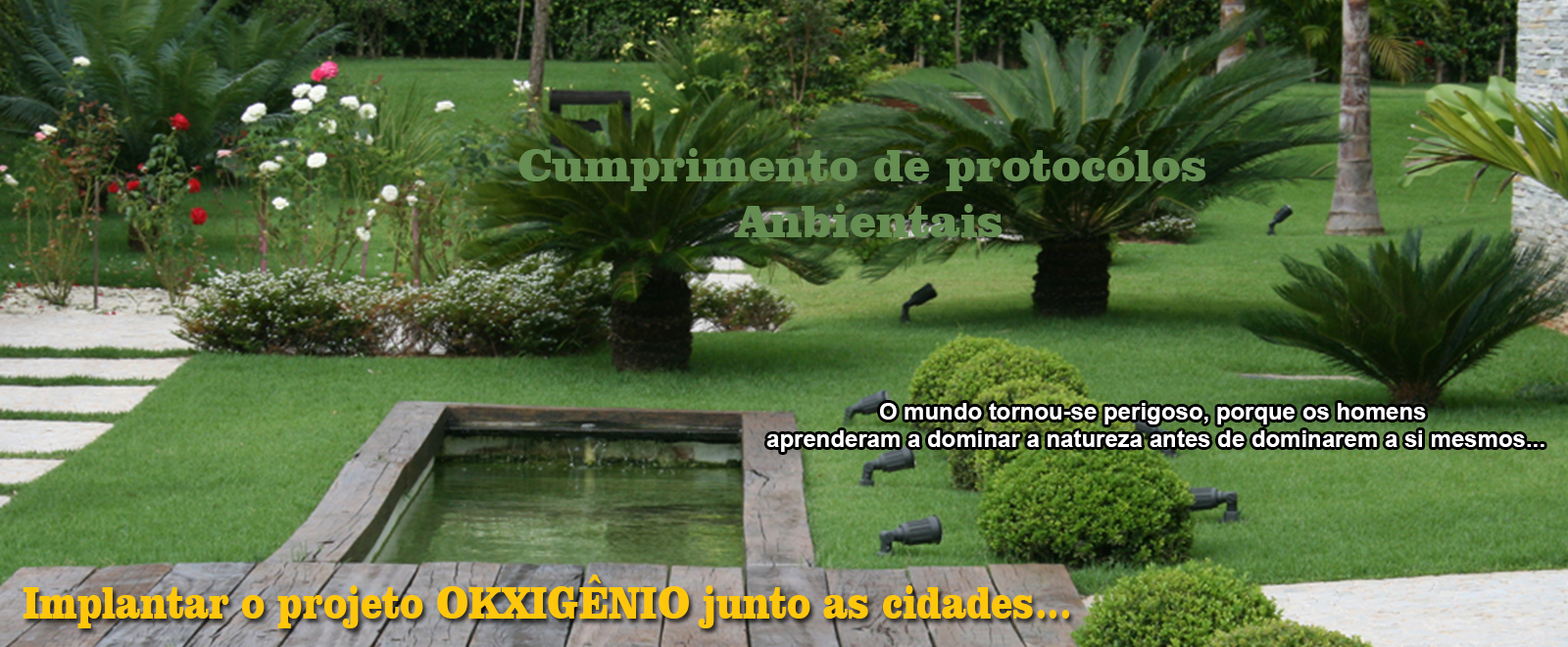 slider image 3